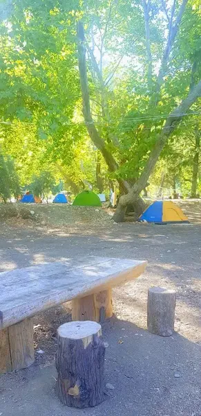 Tavuskuşu Camping & Bungalow - Photo 7