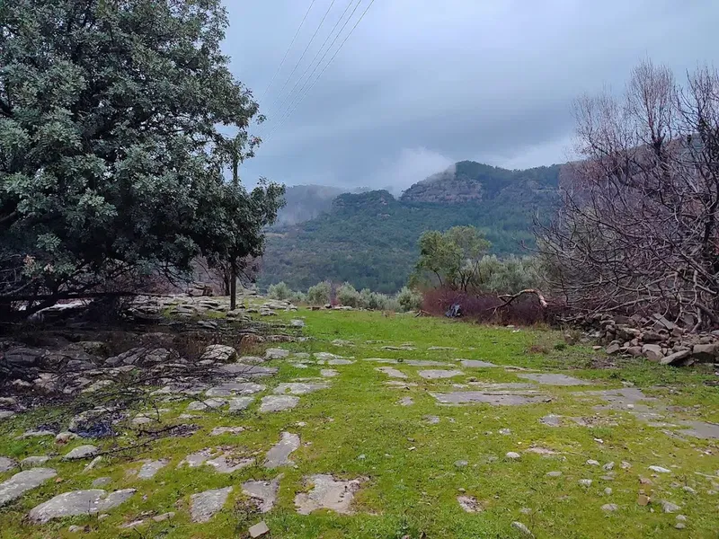 TAZILI Osman Dedenin ÇİFTLİĞİ - Photo 5