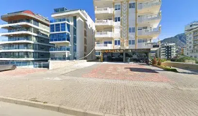 Taçel Group - Photo 1