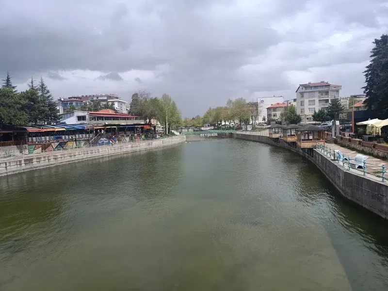 Taş Köprü - Photo 4