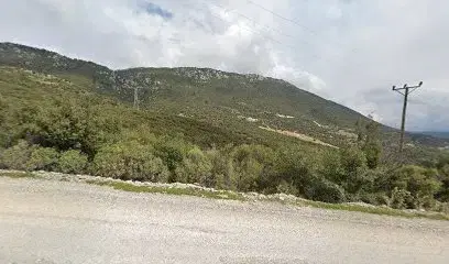 Taş Olaf