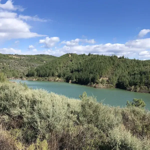 Taşağıl Karabekir Barajı - Photo 8