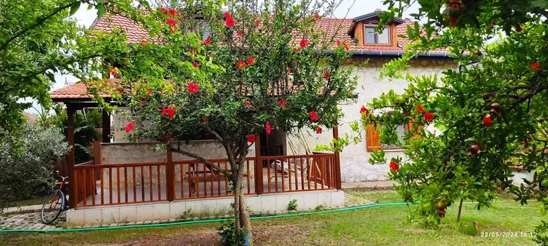 Taşev & Çıralı - Photo 4