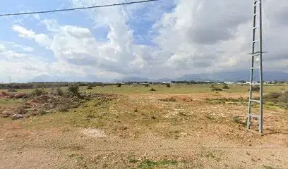 Taşlı bahçe