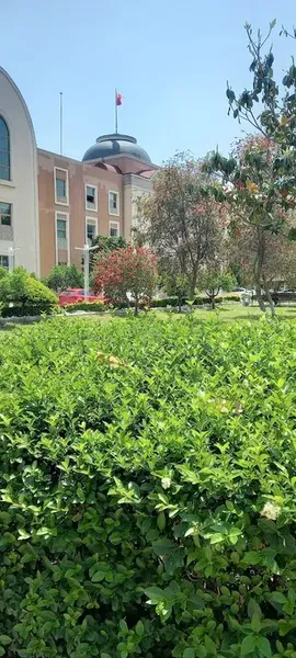 Aksu Municipality - Photo 7