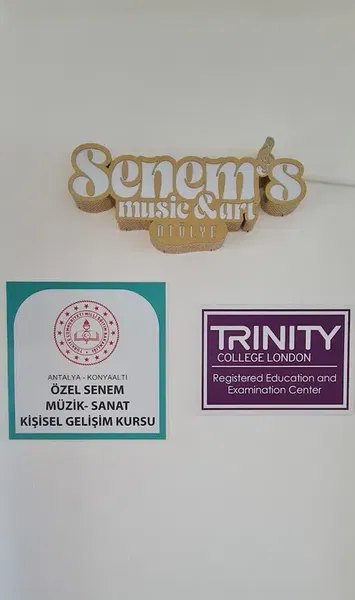 T.C MEB Özel Senem Müzik & Sanat Kursu - Photo 10