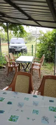 Tea Garden Çay Bahçesi