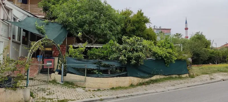 Tea Garden Çay Bahçesi - Photo 4