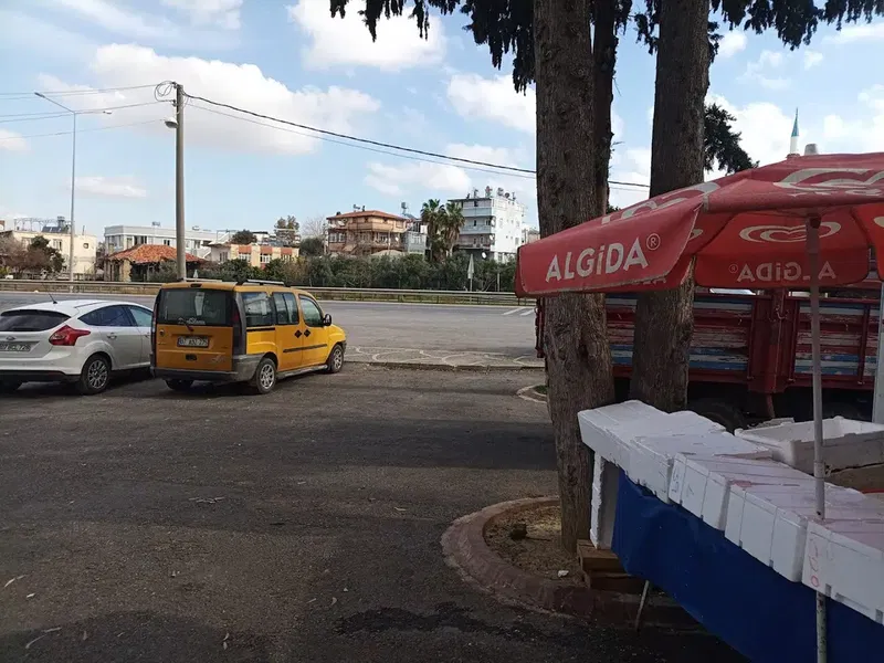 Tea Garden Çay Bahçesi - Photo 5