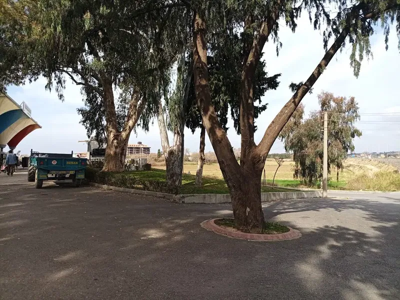 Tea Garden Çay Bahçesi - Photo 8