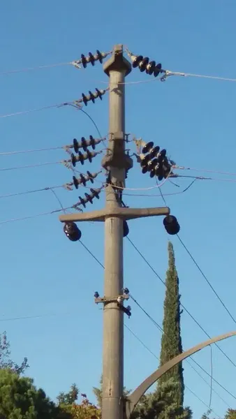 Teiaş 19.Bölge Müdürlüğü Antalya Varsak Trafo Merkezi - Photo 3