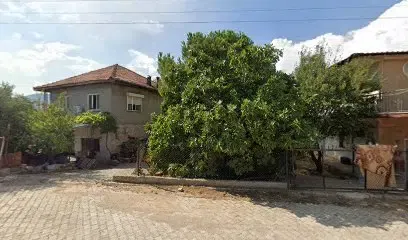 Tekşam cidliği - Photo 1
