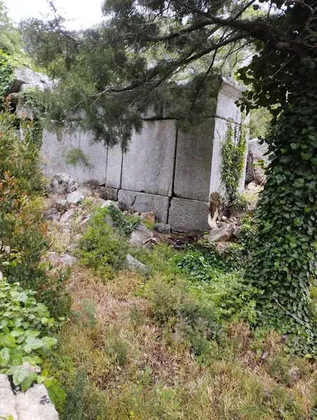 Termessos Kurucu'nun Evi - Photo 8