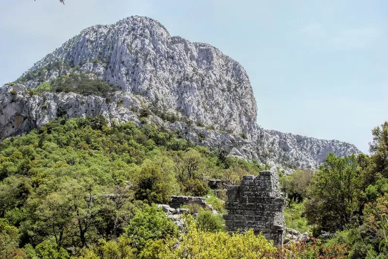 Termessos Kurucu'nun Evi - Photo 9