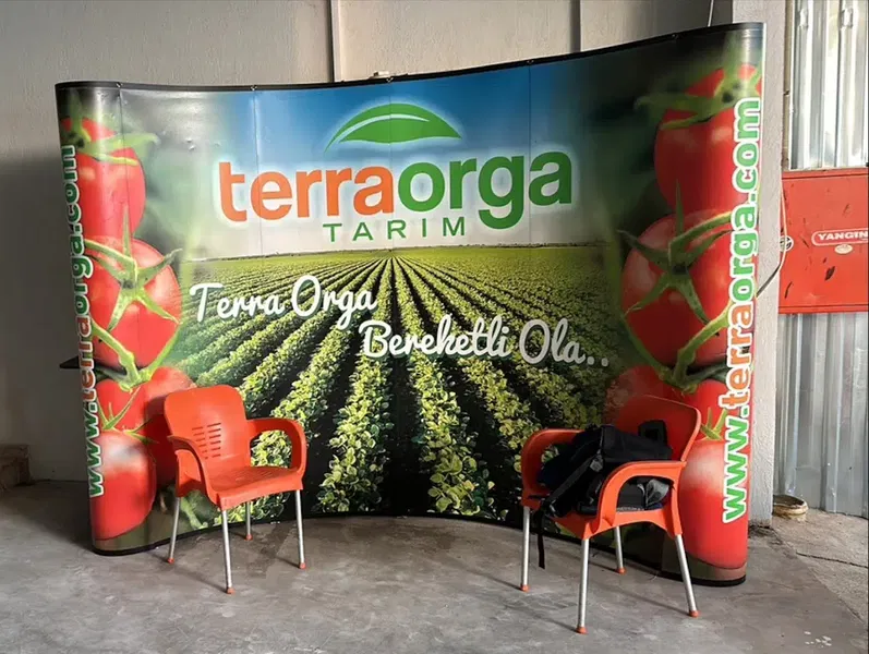 Terra Orga - Photo 8