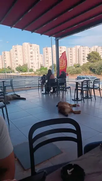 Terra Pizza - Kepez Mazıdağı - Photo 5