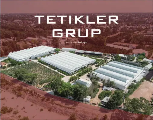Tetikler Group