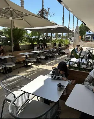 The Dose Coffee
