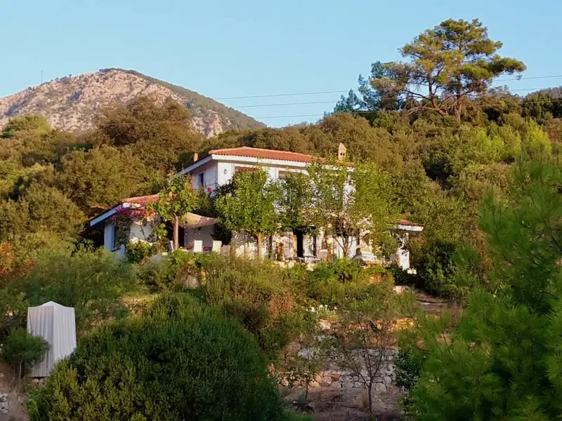 The Lazy Olive (Tembel Zeytin) Villa - Photo 2