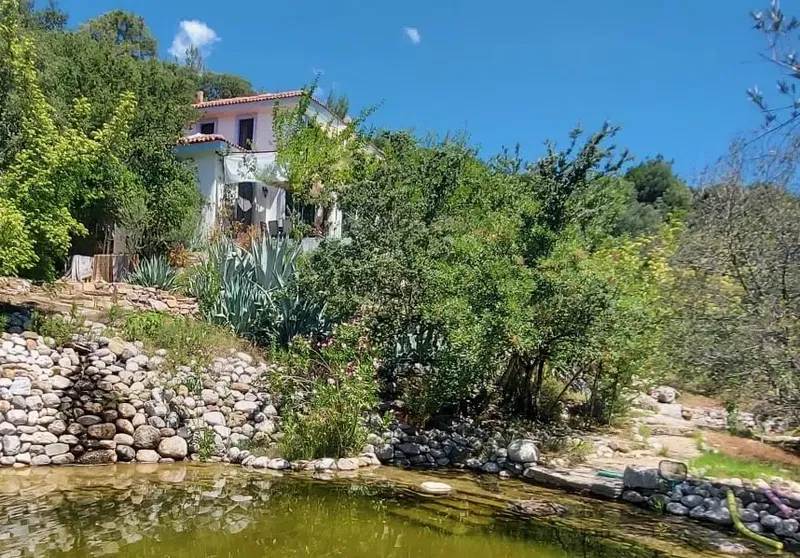 The Lazy Olive (Tembel Zeytin) Villa - Photo 4