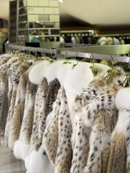 Tigers Leather & Fur - Photo 9