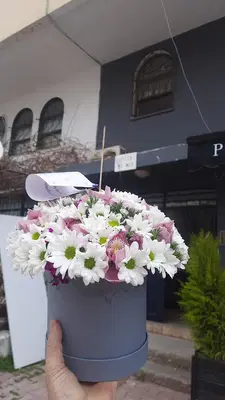 Timved Flowers Export