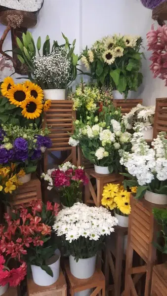 Timved Flowers Export - Photo 5