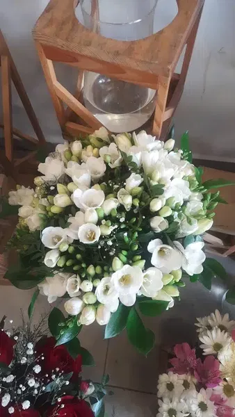 Timved Flowers Export - Photo 6