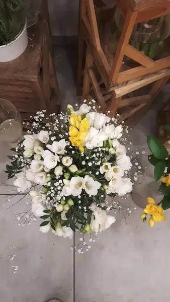 Timved Flowers Export - Photo 10