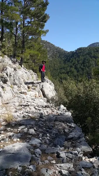 Timyan dağı - Photo 3