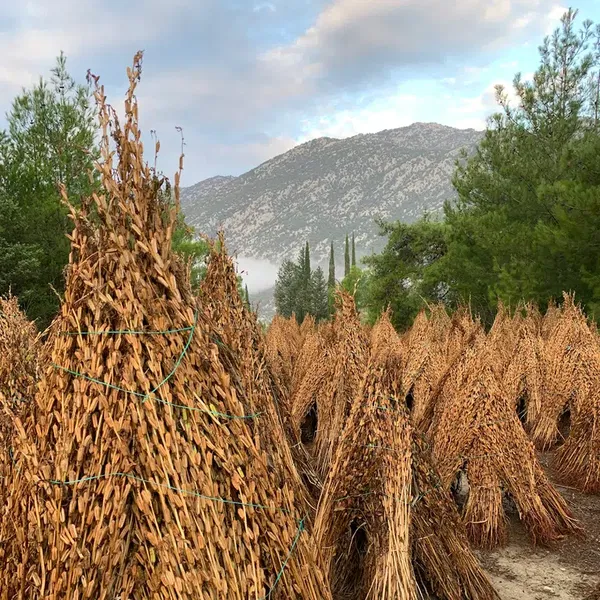 Tol Tahin Değirmeni - Photo 8