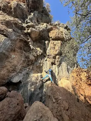 Top Alanı sector