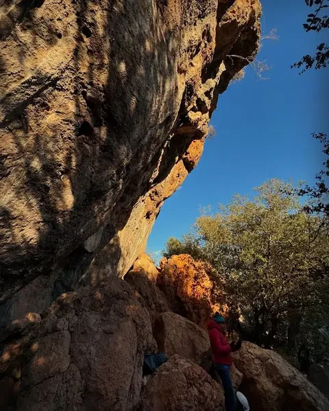 Top Alanı sector - Photo 2