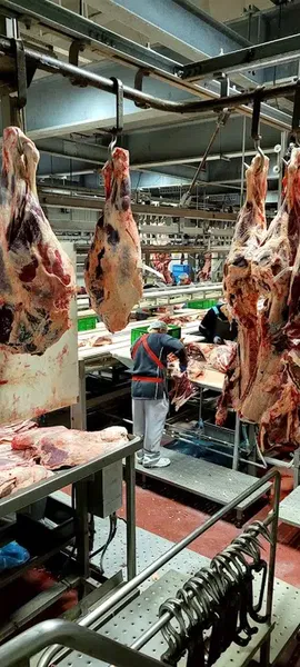 Torku Fabrika - Photo 5