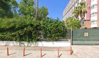 Toros - Photo 1