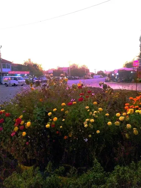 Tostçu Erdem - Photo 8