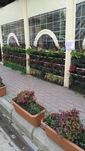 Tostçu Kemal - Photo 9