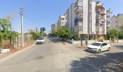 Tostçu Kübra - Photo 1