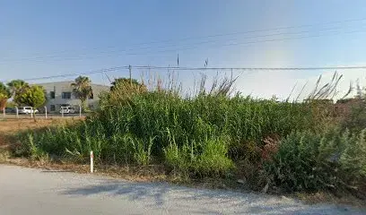 Tuborg-manavgat Bayi
