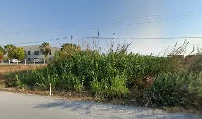 Tuborg-manavgat Bayi - Photo 1