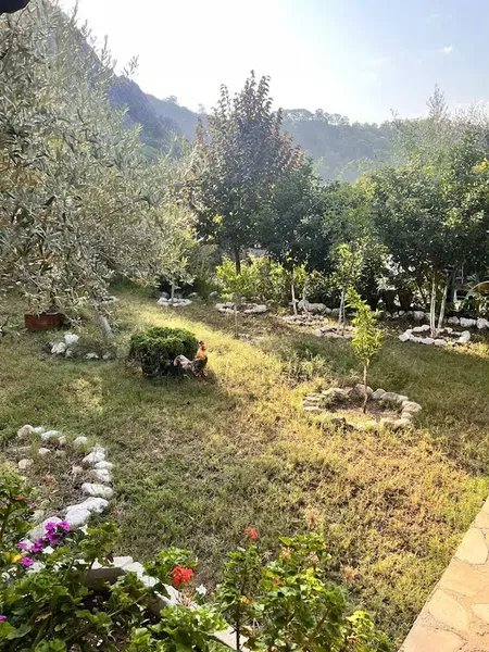 Tunalı Apart Adrasan - Photo 5