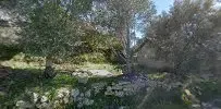 Tuncerler sokak - Photo 3