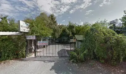 Turkuaz kamp