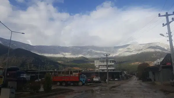 Turunçova Hali
