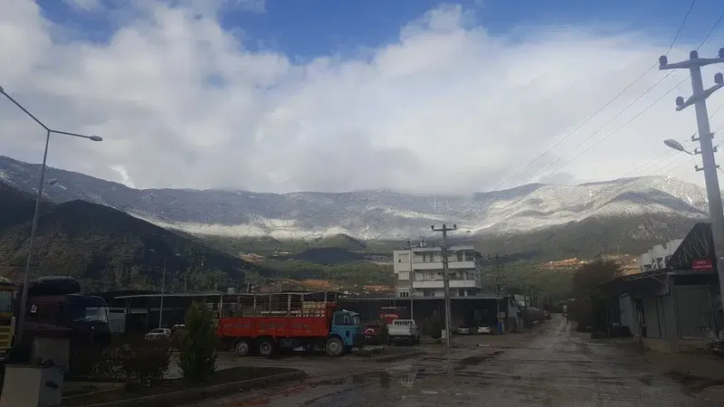 Turunçova Hali - Photo 1