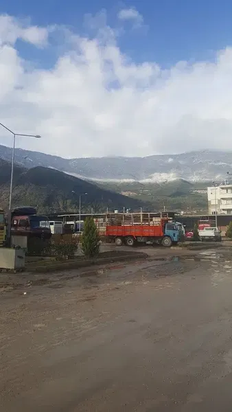 Turunçova Hali - Photo 7