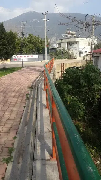 Turunçova Hali - Photo 8