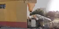 Tuğra tarım muz - Photo 2