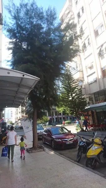 Türk Telekom Müdürlüğü - Photo 9