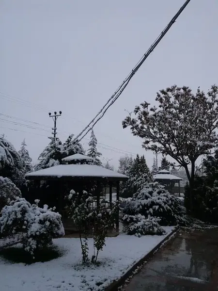 Türkmencamili Sosyal Tesisleri - Photo 3